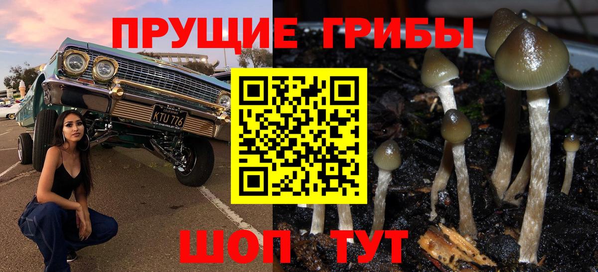 Сыктывкар  Галлюциногенные грибы мицелий  Вход с VPN 
